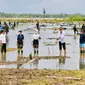 Presiden Jokowi menanam mangrove bersama sejumlah duta besar negara sahabat dan masyarakat di Desa Bebatu Kecamatan Sesayap Hilir Kabupaten Tana Tidung, Provinsi Kalimantan Utara, Selasa (19/10/2021).