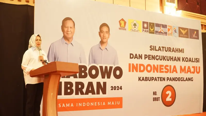 Airin Rachmi Diany, Ketua TKD Banten. (Istimewa).