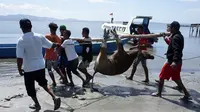 5 Fakta Jangan Takut Berkurban Melalui Dompet Dhuafa