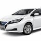 All New Nissan Leaf Resmi Dijual di Indonesia (Ist)