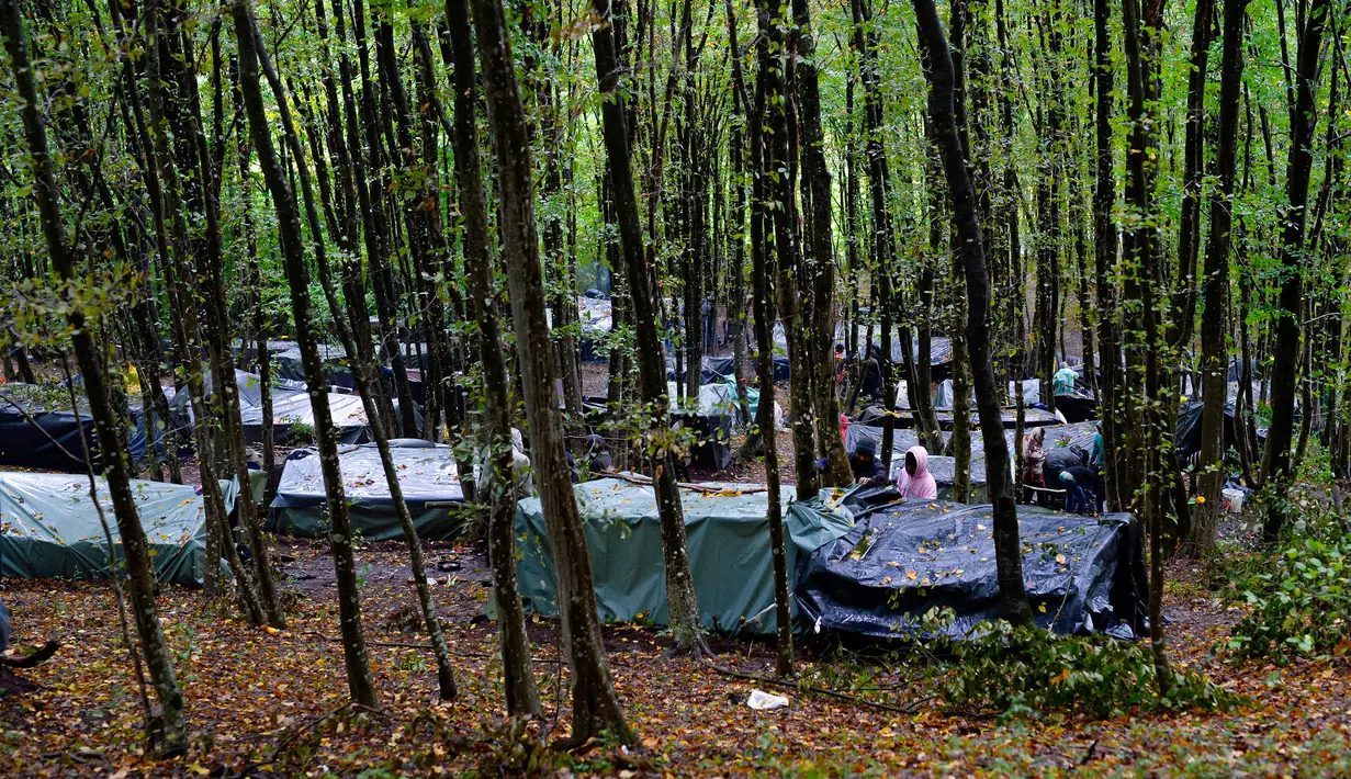 Migran berdiri di sekitar tenda yang dibuat seadanya di kamp darurat di hutan di luar Velika Kladusa, Bosnia pada 26 September 2020. Kebanyakan imigran dan pengungsi di Bosnia berasal dari Timur Tengah, Afrika dan Asia. (AP Photo/Kemal Softic)