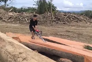 Korban banjir di Tapsel manfaatkan kayu hanyut untuk perbaiki rumah dan jembatan. (Liputan6.com/Reza Efendi)