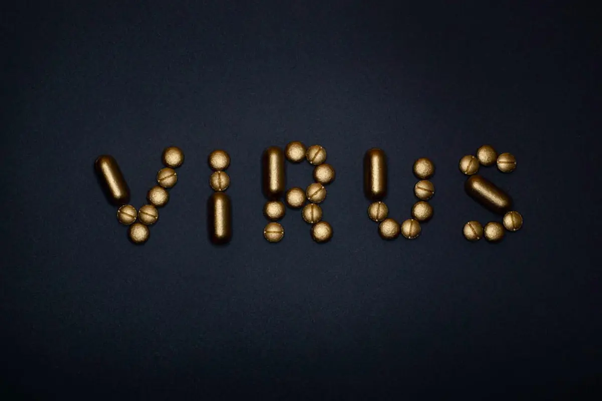 Virus