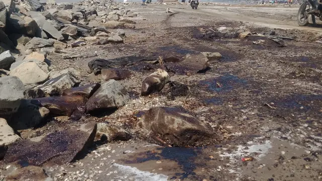 Pencemaran di Pesisir Utara Karawang