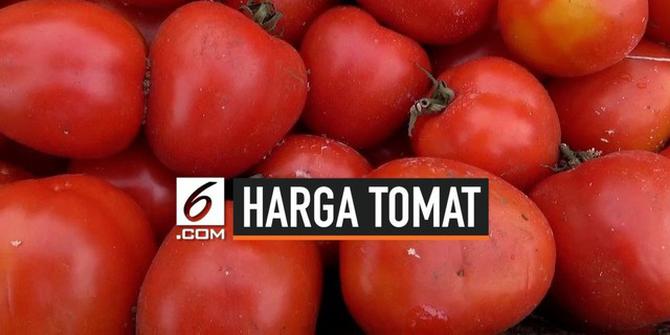 VIDEO: Harga Anjlok Petani Membuang Hasil Panen Tomatnya