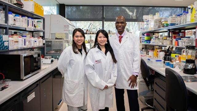 Jamur Bisa Menghalau Rumah dari Kebakaran