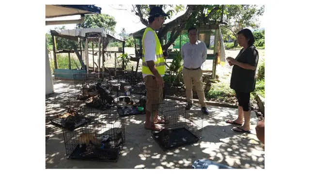 Rutin Dapat Donasi, Tempat Penampungan Kucing Ini Justru Memprihatinkan