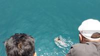 Seorang penumpang bernama Erwin (18) yang melompat dari atas kapal, tepatnya di perairan depan Pulau Raam. (Antara)
