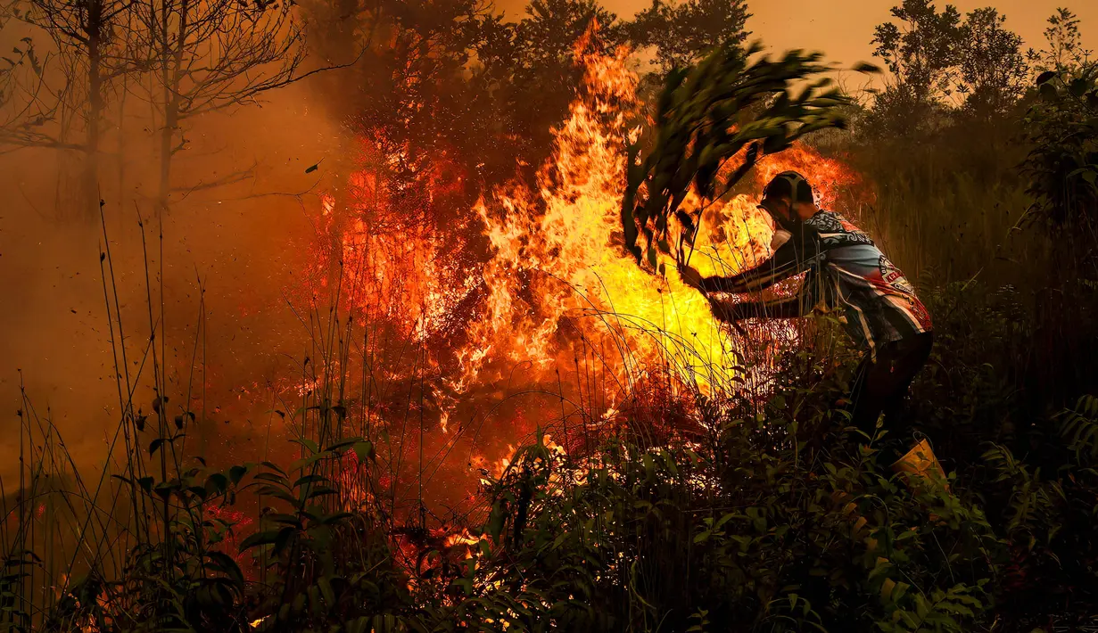 Seorang pria menggunakan ranting pohon untuk berupaya memadamkan kebakaran lahan gambut di Palangkaraya, Kalimantan Tengah, Kamis (22/10/2026). (REINA/AFP)