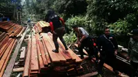Tim Polda Riau dan Kementerian LHK membongkar illegal logging atau pembalakan liar di kawasan Cagar Biosfer Giam Siak Kecil, Bengkalis, Riau. (Liputan6.com/M Syukur)