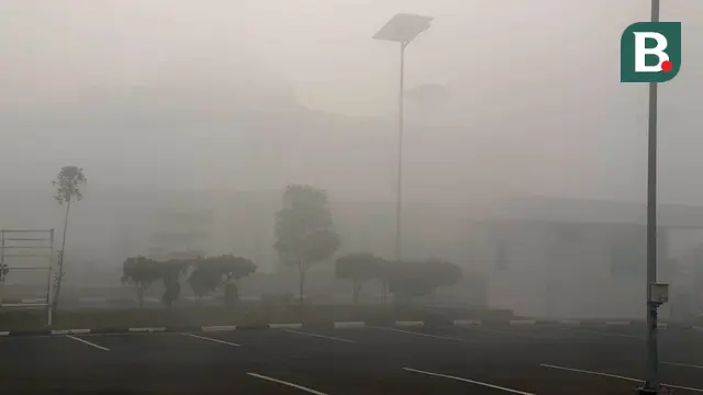 kabut asap karhutla di bandara internasional syamsudin noor kalimantan selatan kalsel