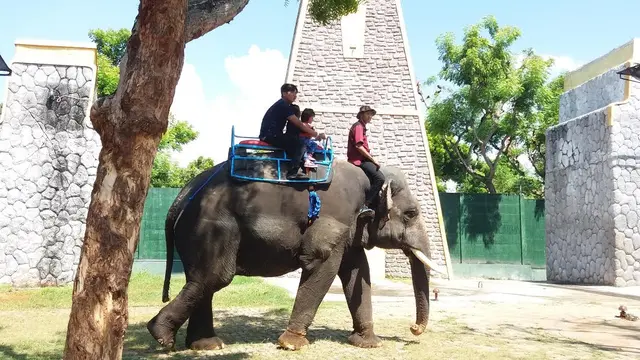 Maharani Zoo Lamongan