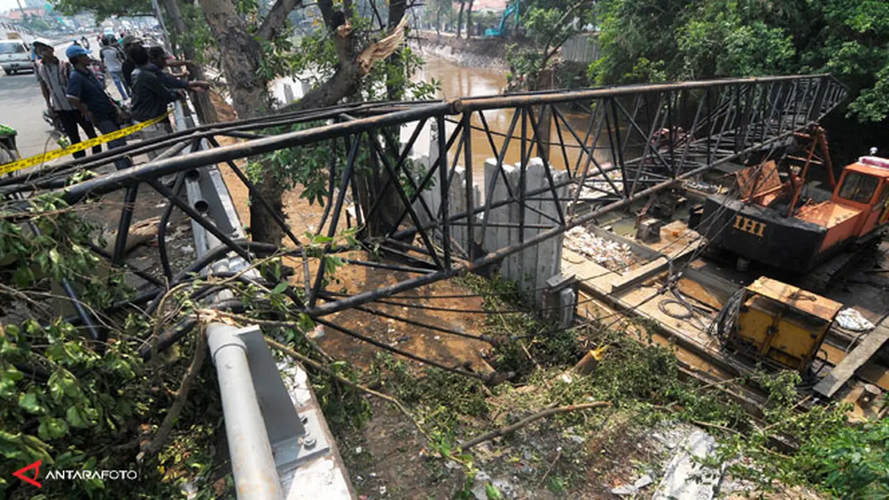 crane-ciliwung-130923b.jpg