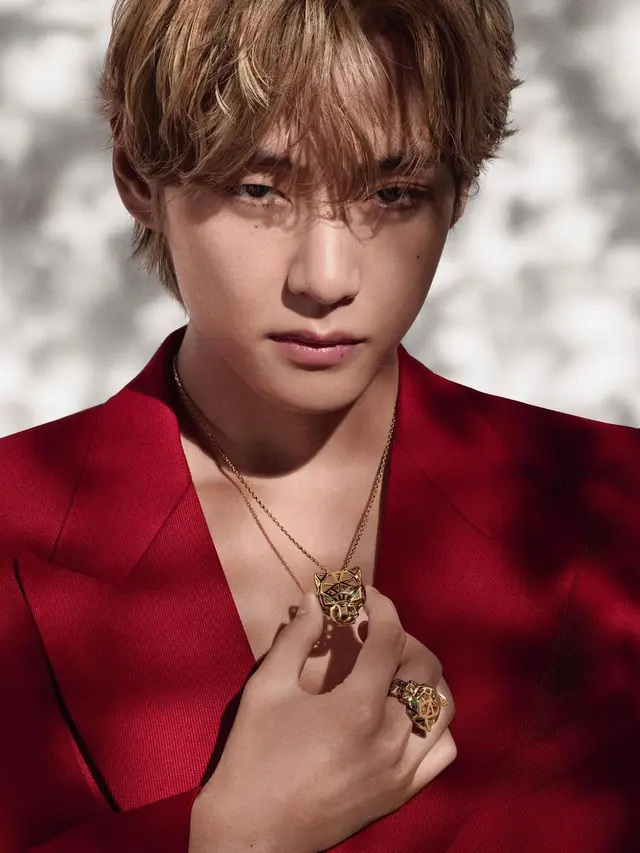 V BTS (Instagram/thv)