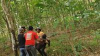 Kronologi Kades Braja Asri Tewas saat Menghalau Gajah Liar di Lampung Timur