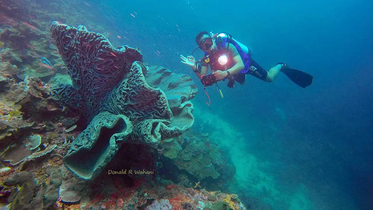Salvador Dali Terbesar di Gorontalo Akhirnya Patah 