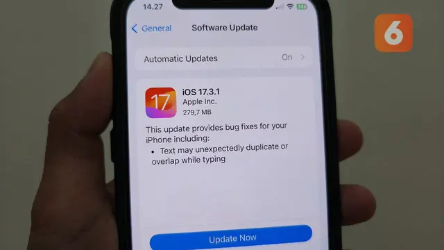 Update iOS 17.3.1