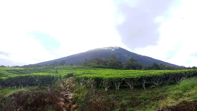 Berstatus Waspada, Warga Dilarang Beraktivitas di Gunung Dempo Pagar Alam
