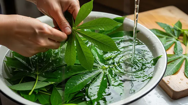 7 Trik Masak Daun Singkong Agar Tetap Hijau Saat Direbus, Tidak Hitam dan Tetap Lezat