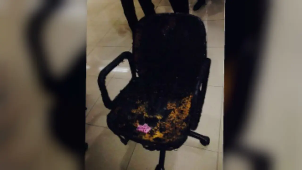Si Jago Merah Lahap Ruang Kerja Legislator PAN di DPR 