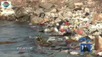 Tak hanya menciptakan pemandangan tak sedap, sampah plastik juga mengancam kehidupan biota laut.