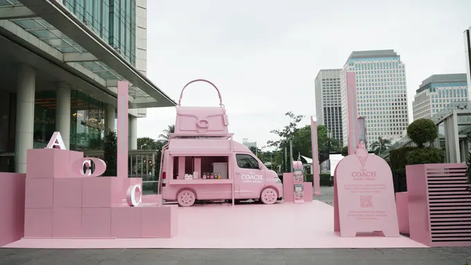 The Coach Tabby Tour