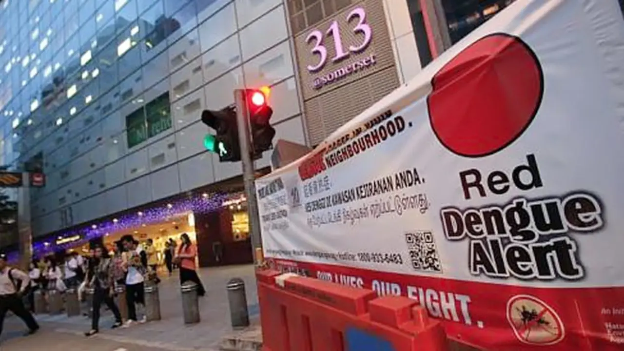 orchard-road-131022d.jpg