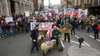 Hewan ternak berupa, sapi dan domba ikut ambil bagian dalam aksi protes oleh petani lokal di Downing Street, pusat kota London, Inggris, Rabu (23/3). (LEON Neal/AFP)