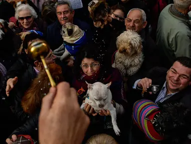 Imam besar, Santiago Fulero memberkati para hewan peliharaan pada peringatan Hari santo Antonius di gereja Saint Pablo, Spanyol, Rabu (17/1). Pada perayaan tahunan itu, para pemilik membawa hewan peliharaan untuk diberkati pastor. (AP/Alvaro Barrientos)