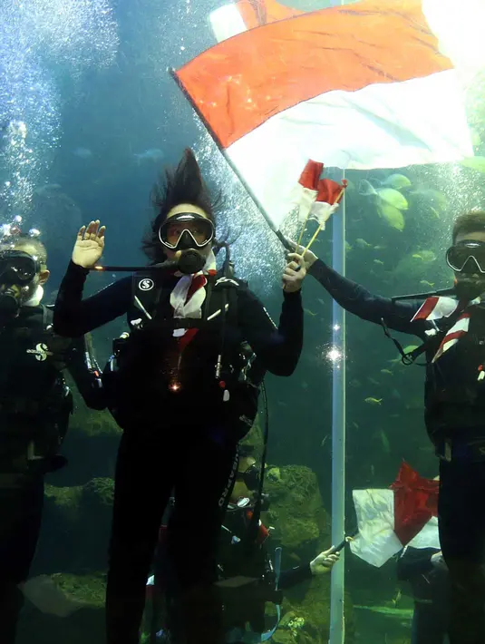 Meski sebelumnya telah dilatih oleh para penyelam profesional, Chua mengakui tidak gampang. Apalagi banyak ikan yang terus berseliweran, bahkan beberapa kali ikan itu nambrak badannya. (Deki Prayoga/Bintang.com)