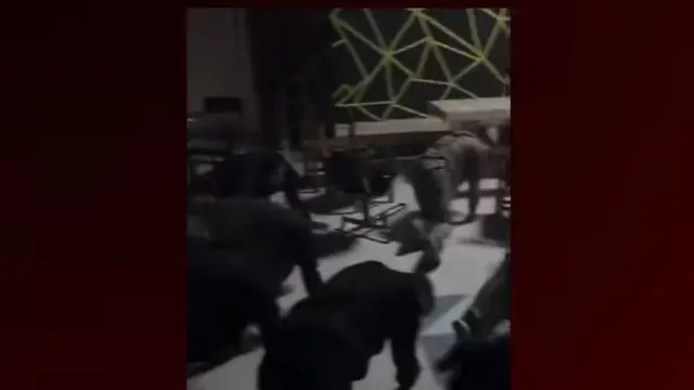 Viral Dugaan Kekerasan Senior di Fakultas MIPA Unhas, Kampus Bekukan Pengaderan