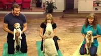 Uniknya Doga, Trend Yoga Dengan Anjing