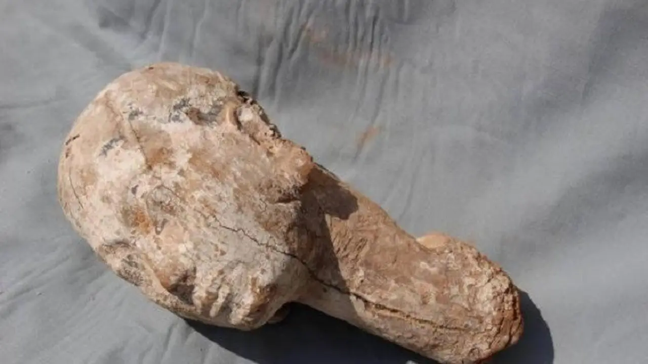 Patung kayu berbentuk kepala manusia ini diduga sebagai Ankhesenpepi II, sosok ratu pada masa dinasti VI Mesir (Facebook/Egypt's Ministry of Antiquities)