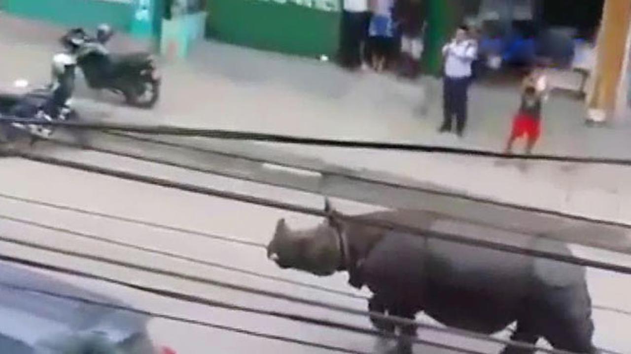 (Lip6 Petang) Jendela-Dunia-150402