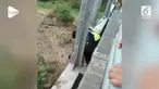 Seorang polisi mencegah seorang pemuda yang ingin bunuh diri dengan terjun dari jembatan.