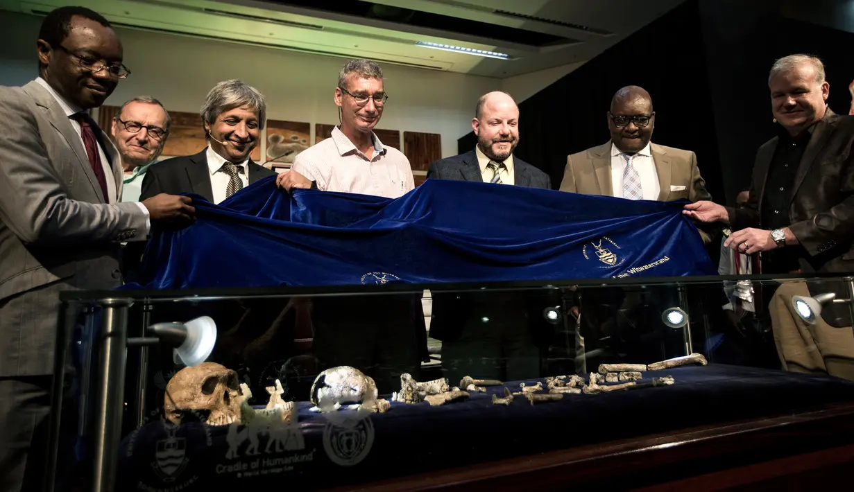 Salah satu pertanyaannya, bagaimana hubungan Homo Naledi Hominin dengan kita, Homo sapiens? Apakah dia moyang, tante, atau malah hanya sepupu kita? Afsel, Selasa (9/5). (AFP/GULSHAN KHAN)