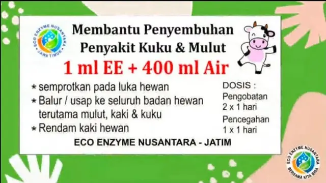 Manfaat Eco Enzyme untuk PMK