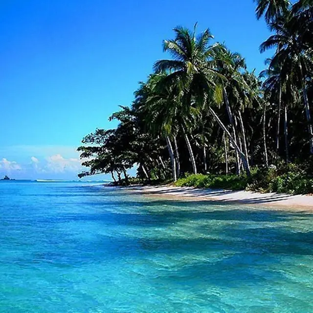 12 Tempat Wisata di Situbondo Paling Hits, Cocok untuk Tujuan Liburan