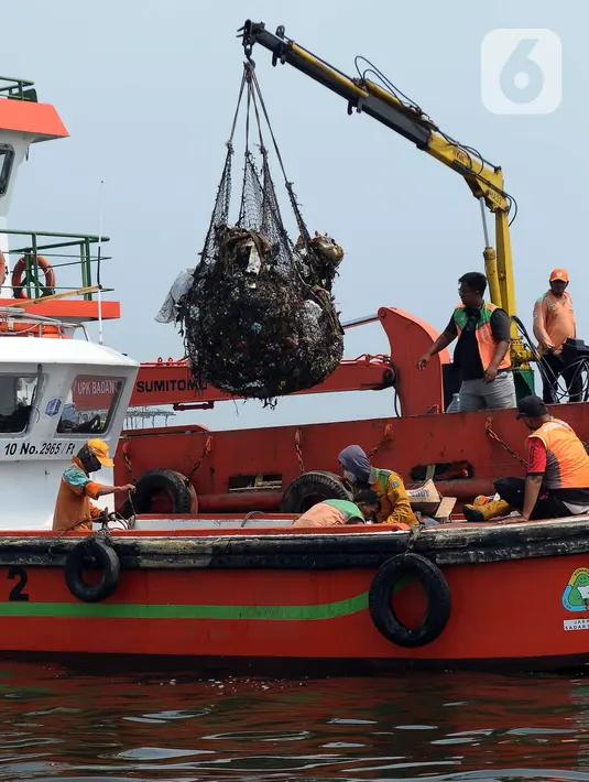 Sebagian dikelola Balai Konservasi Sumber Daya Alam (BKSDA), Kementerian Lingkungan Hidup dan Kehutanan (KLHK), Dinas Pertamanan dan Hutan Kota, dan Dinas KPKP DKI Jakarta. (merdeka.com/Imam Buhori)