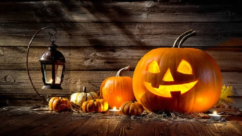 Ilustrasi Halloween (iStock)