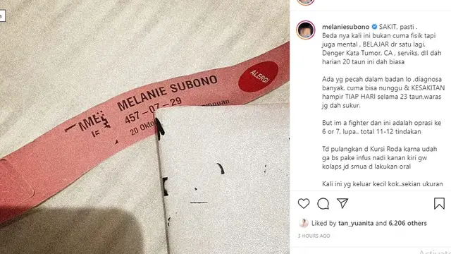 Melanie Subono (Foto: Instagram/@melaniesubono)