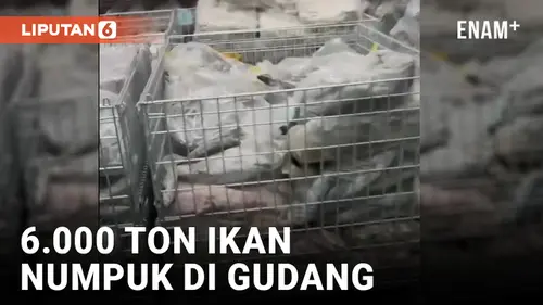 VIDEO: Viral 6.000 Ton Ikan Menumpuk di Gudang, Diduga Daya Beli Masyarakat Kurang