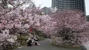 Warga beristirahat di bawah bunga Sakura yang bermekaran di Tokyo, Jepang (19/3). Bunga Sakura mekar pada akhir Maret hingga akhir Juni. Mekarnya bunga nasional Jepang ini menandai dimulainya musim semi. (Liputan6.com/Kazuhiro Nogi)