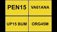 Tak Semua Plat Nomor Bermakna Cabul Dilarang di Inggris