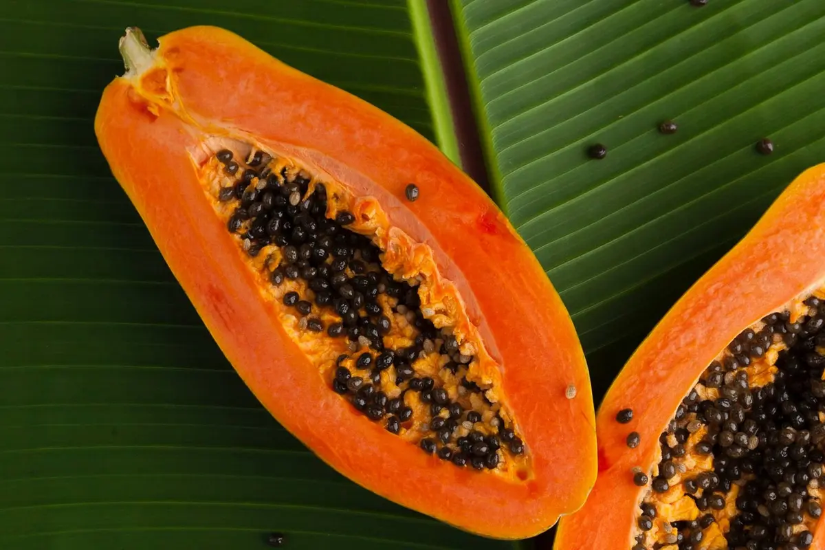 6 Manfaat Pepaya untuk Kulit dan Kecantikan, Lengkap dengan Cara Menggunakannya