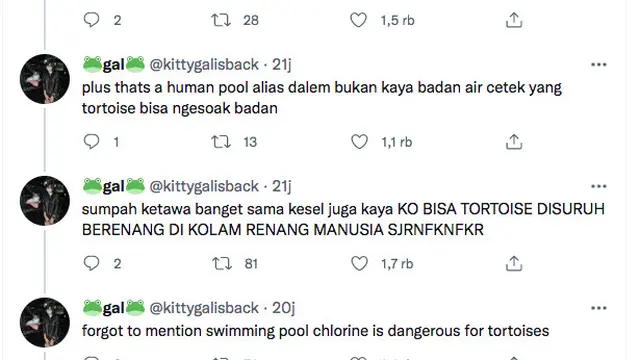 Rizky Billar dan Lesti Kejora Ditegur Pecinta Hewan Gara-Gara Masukkan Kura-Kura ke Kolam Renang (twitter @kittygalisbackl)