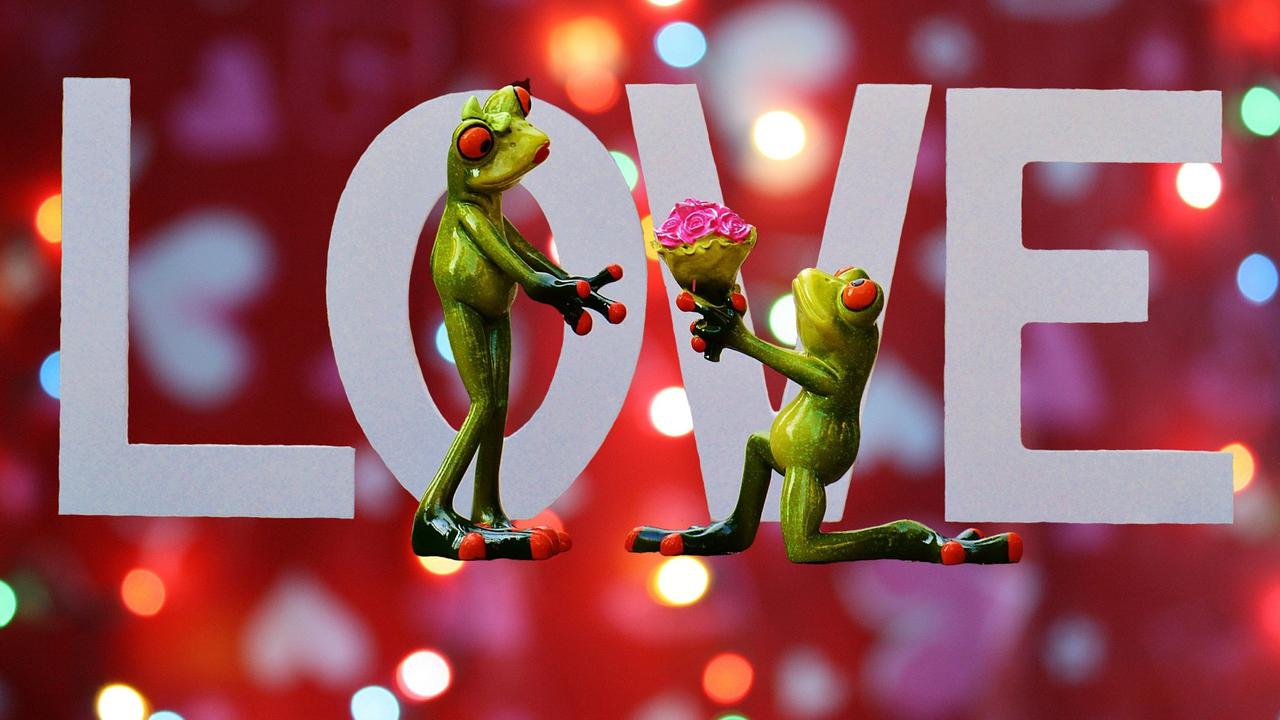 Kata kata romantis lucu