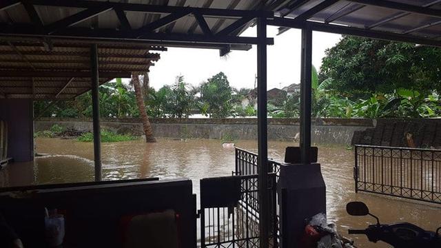 Bikin Haru, Ini 6 Momen Rano Karno Bantu Evakuasi Mak Nyak saat Banjir Jakarta