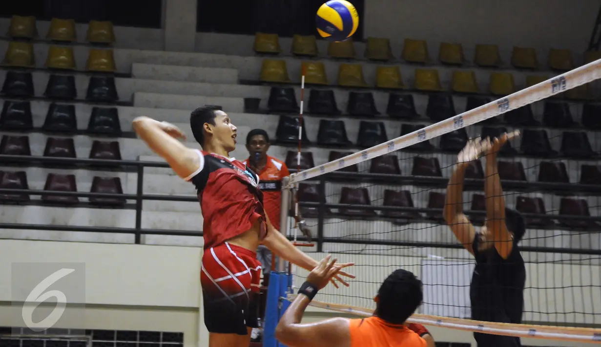 Pevoli putra Palembang Bank Sumsel Babel melakukan smesh saat berlatih di Padepokan Voli Sentul, Bogor (27/1/2016). Latihan ini bagian persiapan menghadapi turnamen Proliga 2016, pertengahan Februari 2016 mendatang. (Liputan6.com/Helmi Fithriansyah) 