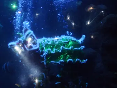 Pemain barongsai beraksi di dalam kolam SeaWorld, Ancol, Jakarta, Sabtu (28/1). Atraksi barongsai ini untuk memeriahkan perayaan Tahun Baru Imlek 2568. (Liputan6.com/Helmi Fithriansyah)